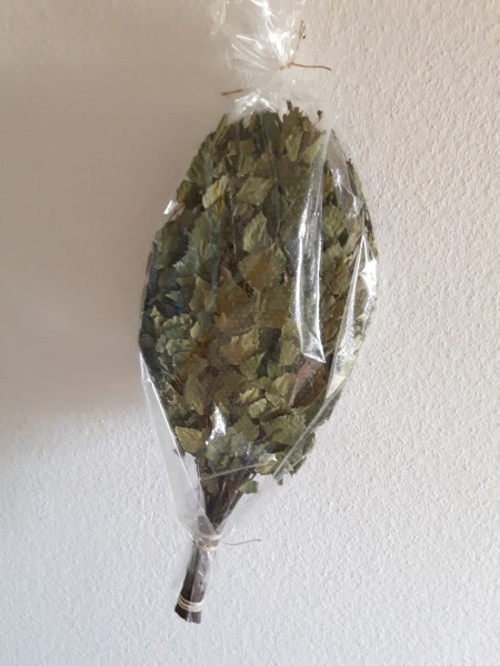 Birkenzweig klein
